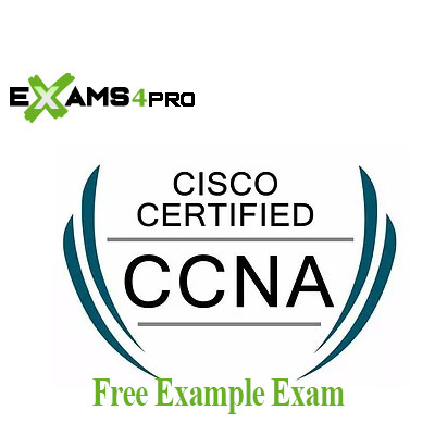 CCNA Example Exam